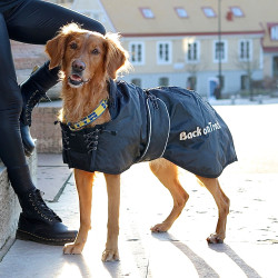 Standardmantel Back on Track für Hunde Schwarz