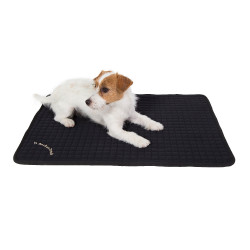 Vielseitig verwendbare Hundematratze Back on Track Vielseitig verwendbare Hundematratze Back on Track