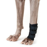 Vorderbeinschutz Back on Track für Hunde Schwarz Vorderbeinschutz Back on Track für Hunde Schwarz