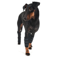 Vorderbeinschutz Back on Track für Hunde Schwarz Vorderbeinschutz Back on Track für Hunde Schwarz