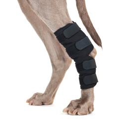 Schutz für Hinterbeine Hund Back on Track Schutz für Hinterbeine Hund Back on Track