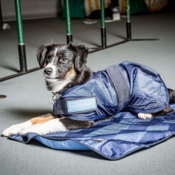 Erfrischendes Handtuch für Hunde Cool on Track Back on Track Erfrischendes Handtuch für Hunde Cool on Track Back on Track