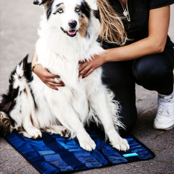 Erfrischendes Handtuch für Hunde Cool on Track Back on Track Erfrischendes Handtuch für Hunde Cool on Track Back on Track