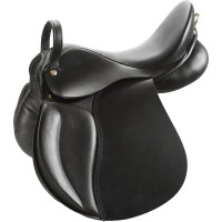 SELLE NORTON EDUCATIVE SELLE NORTON EDUCATIVE
