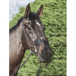 Nasenschutz Comfort Shield LeMieux Nasenschutz Comfort Shield LeMieux