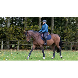 LeMieux GP Square Baumwollschabracke Marineblau