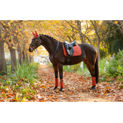 LeMieux Suede Dressur Schabracke LeMieux Suede Dressur Schabracke