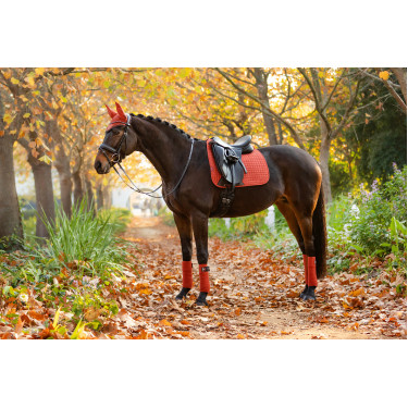 LeMieux Suede Dressur Schabracke LeMieux Suede Dressur Schabracke