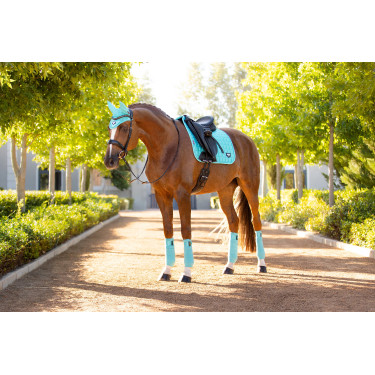 LeMieux Loire Classic Dressur Schabracke LeMieux Loire Classic Dressur Schabracke