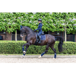 LeMieux Loire Classic Dressur Schabracke LeMieux Loire Classic Dressur Schabracke