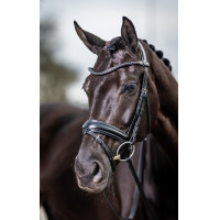 Klassische Dressurtrense LeMieux Schwarz