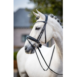 Klassische Dressurtrense LeMieux Schwarz