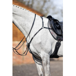 Brustblatt LeMieux Schwarz Brustblatt LeMieux Schwarz