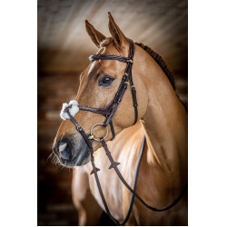Bridon LeMieux Grackle Havanna Braun