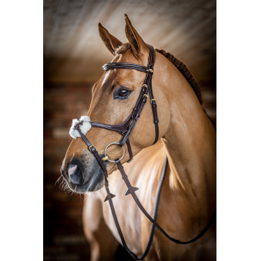 Bridon LeMieux Grackle Havanna Braun
