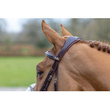 Bridon LeMieux Grackle Havanna Braun