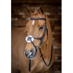Bridon LeMieux Grackle Havanna Braun