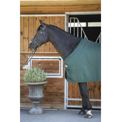 Hemd Paddock Sports Präsentation Grün Gr&uuml;n