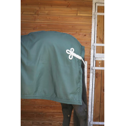 Hemd Paddock Sports Präsentation Grün Gr&uuml;n