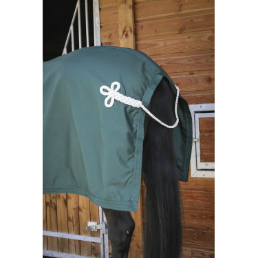 Hemd Paddock Sports Präsentation Grün Gr&uuml;n