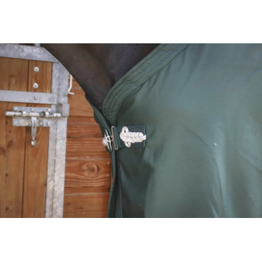 Hemd Paddock Sports Präsentation Grün Gr&uuml;n