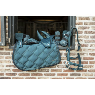 Gamaschen und Streichkappen Lami-Cell Aurora Blau