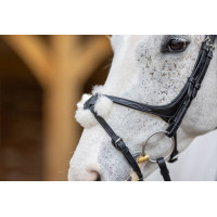 Bridon LeMieux Grackle Havanna Braun