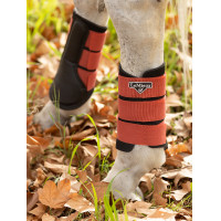 LeMieux Grafter Gamaschen Aprikose Orange LeMieux Grafter Gamaschen Aprikose Orange