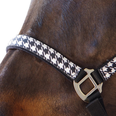 Set Halfter + Führstrick Hahnentritt Canter Set Halfter + Führstrick Hahnentritt Canter
