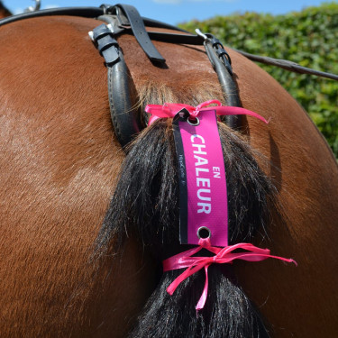 HippiCode Klettverschluss