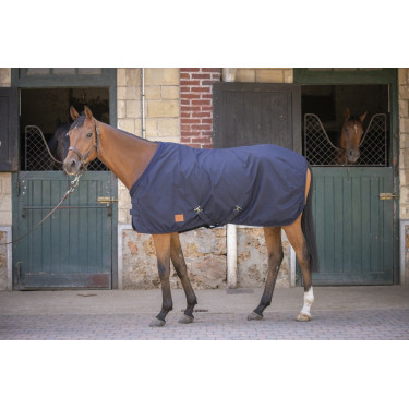 Hemd Paddock Sports Baumwoll-Mesh
