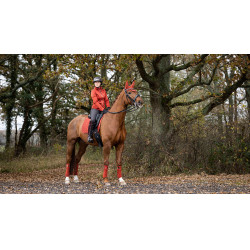 LeMieux Loire Classic Dressur Schabracke LeMieux Loire Classic Dressur Schabracke