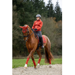 LeMieux Loire Classic Dressur Schabracke LeMieux Loire Classic Dressur Schabracke