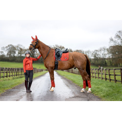 LeMieux Loire Classic Dressur Schabracke LeMieux Loire Classic Dressur Schabracke