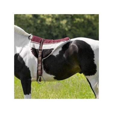Reitpad Norton Reitpad Norton
