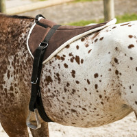 Reitpad Norton Soft
