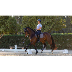 LeMieux Dressur-Schabracke Le Cool Grip Grau