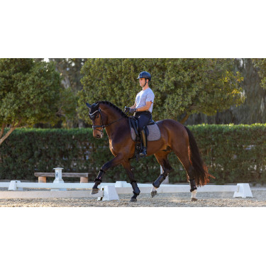 LeMieux Dressur-Schabracke Le Cool Grip LeMieux Dressur-Schabracke Le Cool Grip