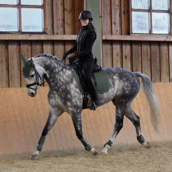 Fliegenhaube Adepto Horze Fliegenhaube Adepto Horze