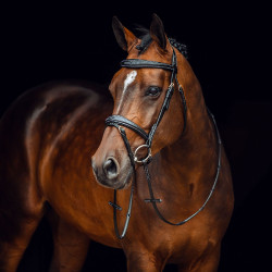 Filet Sion met teugels Horze Filet Sion met teugels Horze