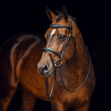 Filet Sion met teugels Horze Filet Sion met teugels Horze