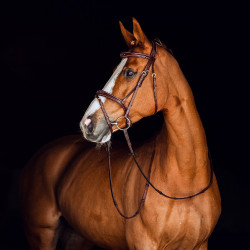 Filet Sion met teugels Horze Filet Sion met teugels Horze