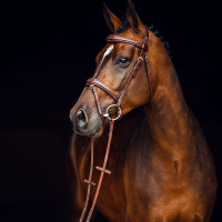 Filet Sion met teugels Horze Braun