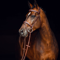 Filet Sion met teugels Horze Filet Sion met teugels Horze