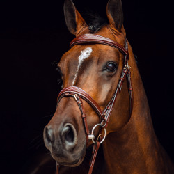 Filet Sion met teugels Horze Filet Sion met teugels Horze