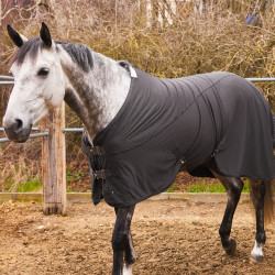 Kühlende Abschwitzdecke LIMITED EDITION Horze Dunkelgrau Kühlende Abschwitzdecke LIMITED EDITION Horze Dunkelgrau