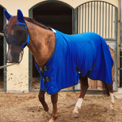 Kühlende Abschwitzdecke LIMITED EDITION Horze Königsblau