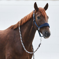 Kiel Halfter mit Fleecepolsterung Horze Dunkelmarineblau