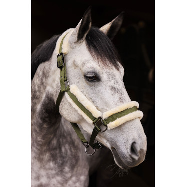 Marquess Halfter mit Kunstfellfutter Horze Marquess Halfter mit Kunstfellfutter Horze