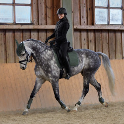 Gamaschen Adepto Horze Khakigrüner Käfer Grün Gamaschen Adepto Horze Khakigrüner Käfer Grün